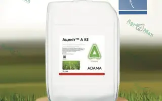 АЦЕНИТ А КЕ