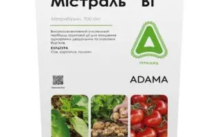 Містраль ВГ