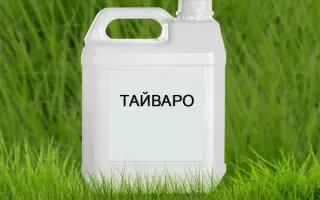 ТАЙВАРО