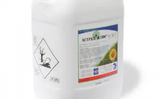 АСТРЕЛ ПЛЮС