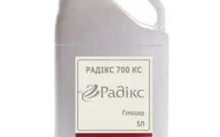 РАДИКС 700, КС