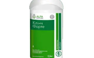 Клінч Форте