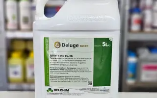 Астероїд 960 EC