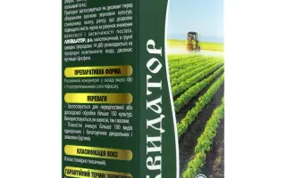 Ліквідатор