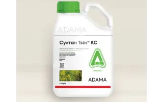 Султан Твін КС