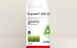 ЕЛЕГАНТ 2FD СЕ