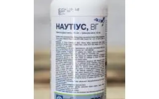 Наутіус, ВГ