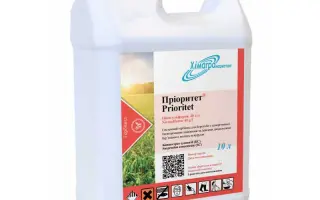 ПРИОРИТЕТ, КС