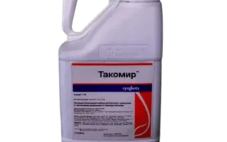 ТАКОМИР, РК
