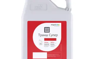 Транш Супер