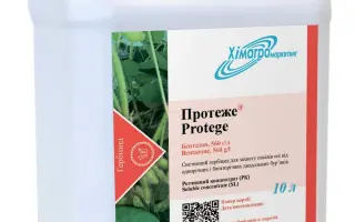 Протеже, РК, (Бентазон, 560 г/л)