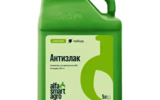 АНТИЗЛАК