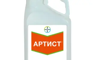 АРТИСТ 41,5WG