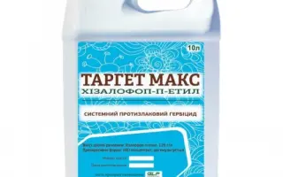 ТАРГЕТ МАКС
