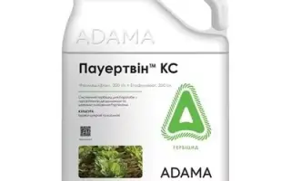 Пауертвін КС