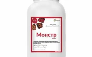 Монстр