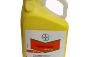 ЧЕЛЕНДЖ 600 SC