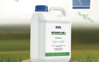 Бетапур, КЕ