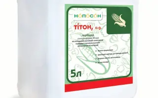 ТИТОН, МД, (Нікосульфурон, 80 г/л)