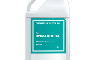 Прімадонна, СЕ