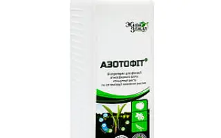 БіостимуляторSoilBiotics«1rSeedTreatment»