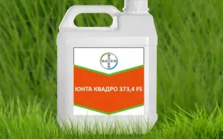 Юнта Квадро 373,4FS
