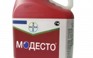 Модесто 480FS