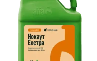 НОКАУТ ЭКСТРА