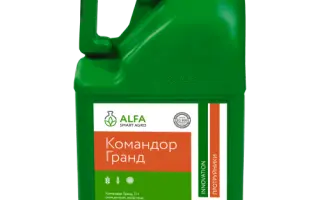 Командор Гранд