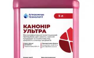 Канонір Ультра