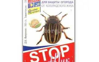 СТОП ЖУК, КС