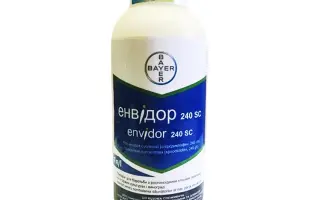 Енвідор 240 SC
