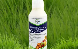 Каліпсо 480 SC