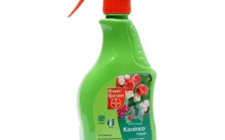 Каліпсо Спрей AL