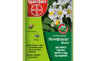 Конфидор Макси