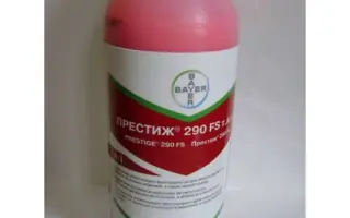 Престиж 290 FS