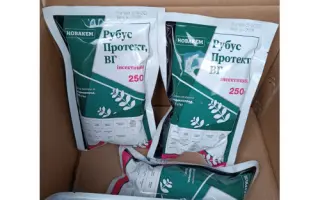 Рубус Протект