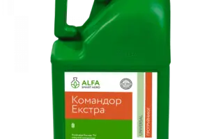 Командор Екстра