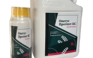 Оватус Протект