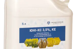 ЮНІ-КС 3,5%