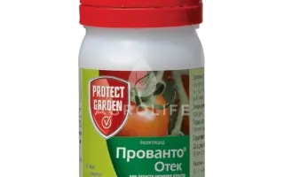 Прованто Отек 110 OD