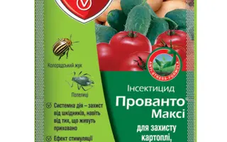 Прованто Максі