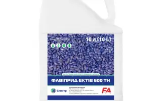 Фавіприд Ектів 600 ТН