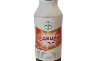 Децис 100 EC