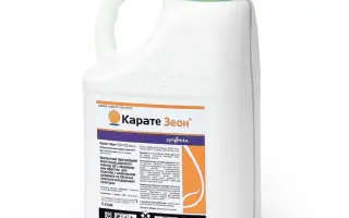 Карате Зеон 050 CS