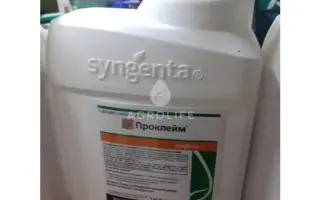 Проклейм 5 SG