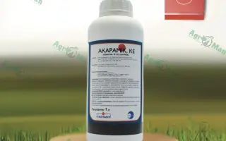 Акарамік, КЕ