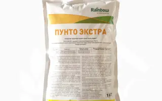 Пунто Екстра