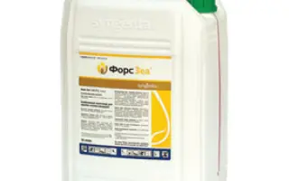 Форс Зеа 280 FS