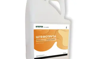 Штефотрута